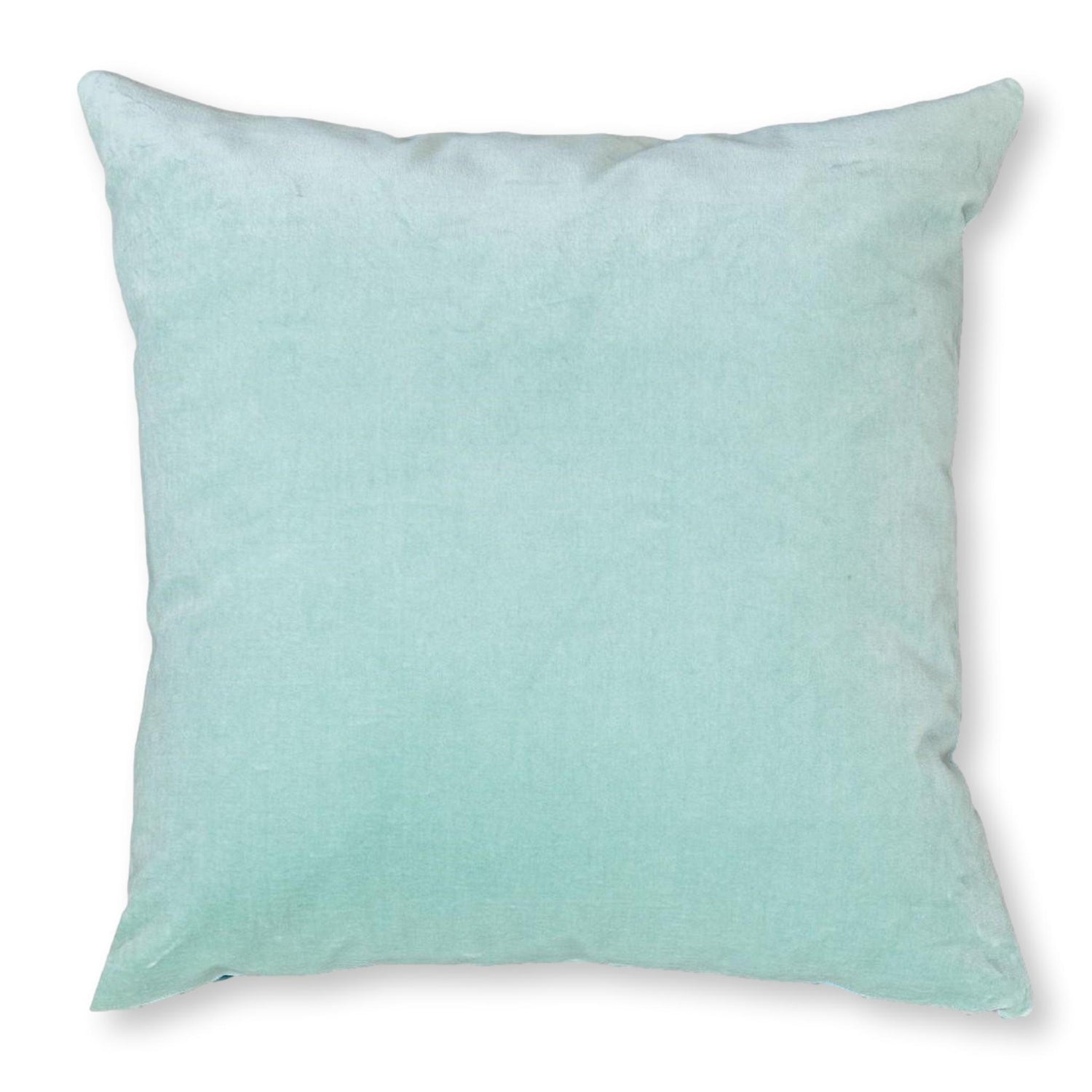 duck egg velvet cushion