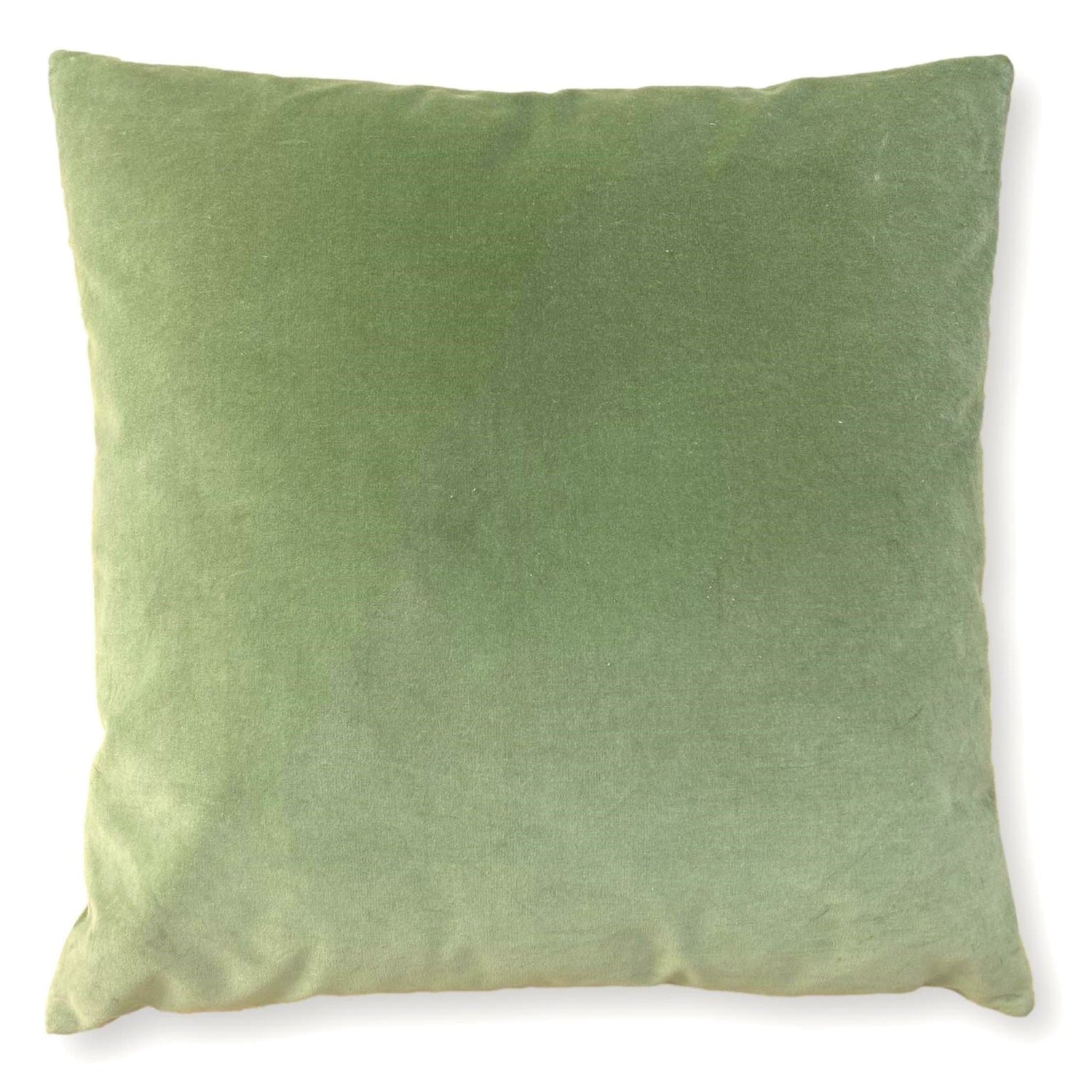 sage green velvet cushion