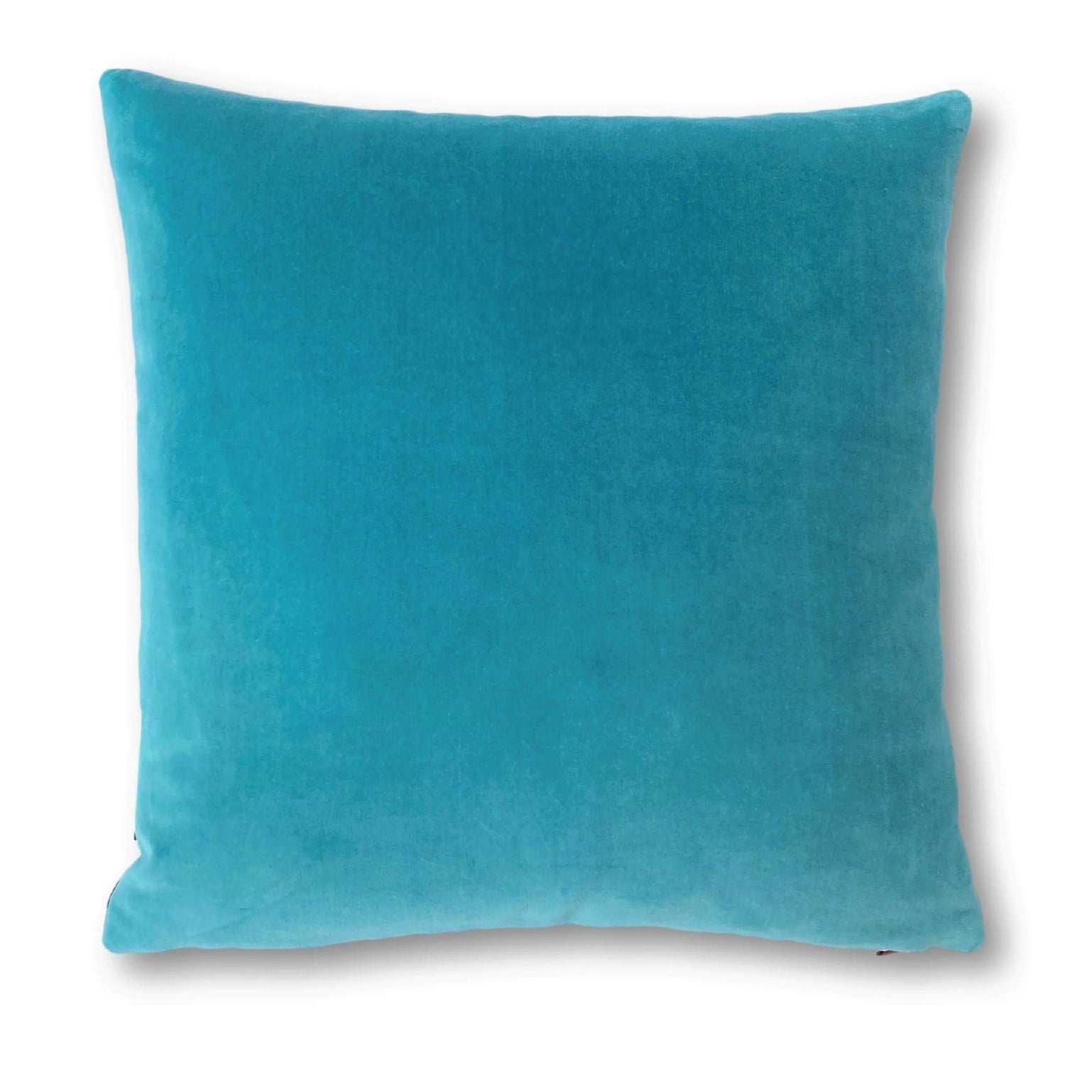 turquoise velvet cushions