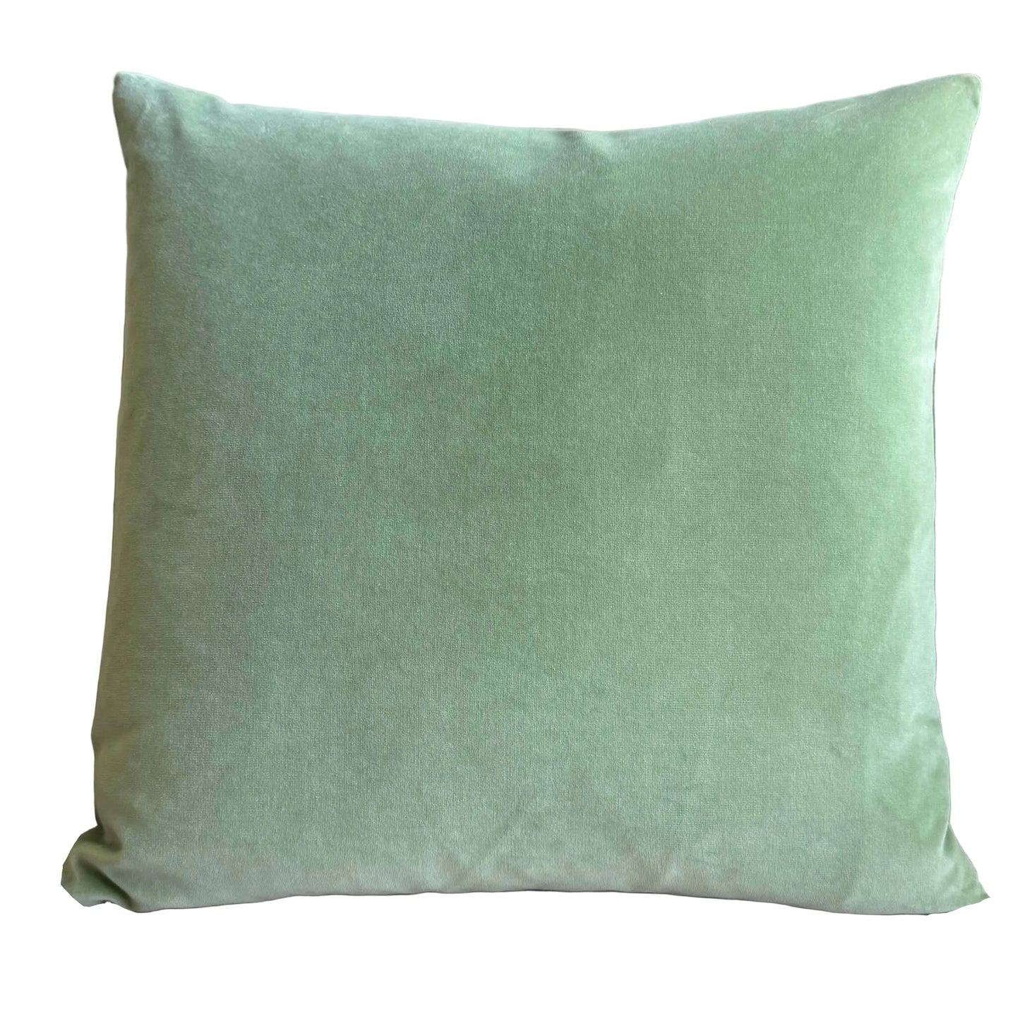 sage green velvet fabric sample