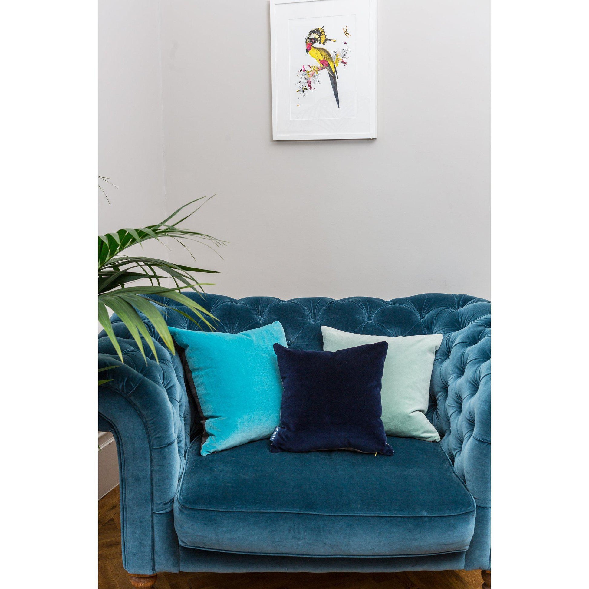turquoise velvet cushion cover luxe 39