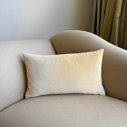 champagne velvet cushion rectangle on beige sofa