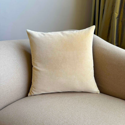 champagne velvet cushion square on beige sofa
