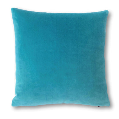 blue scatter cushions