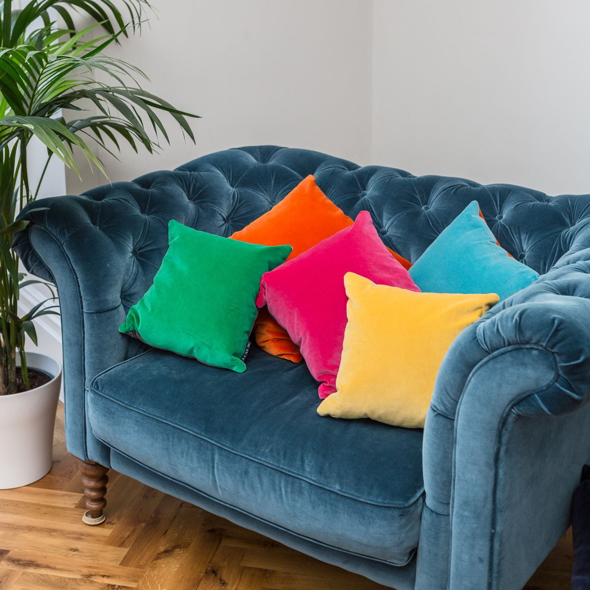 Multi coloured shop sofa cushions