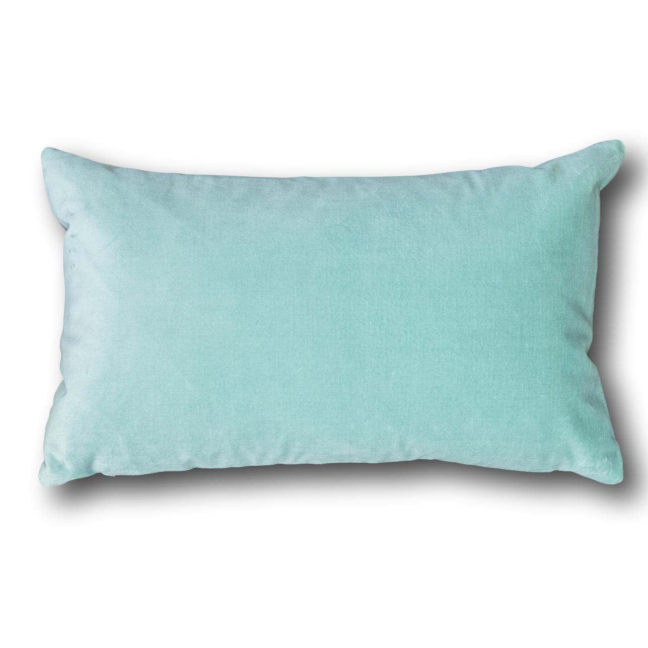 Light aqua throw discount pillows