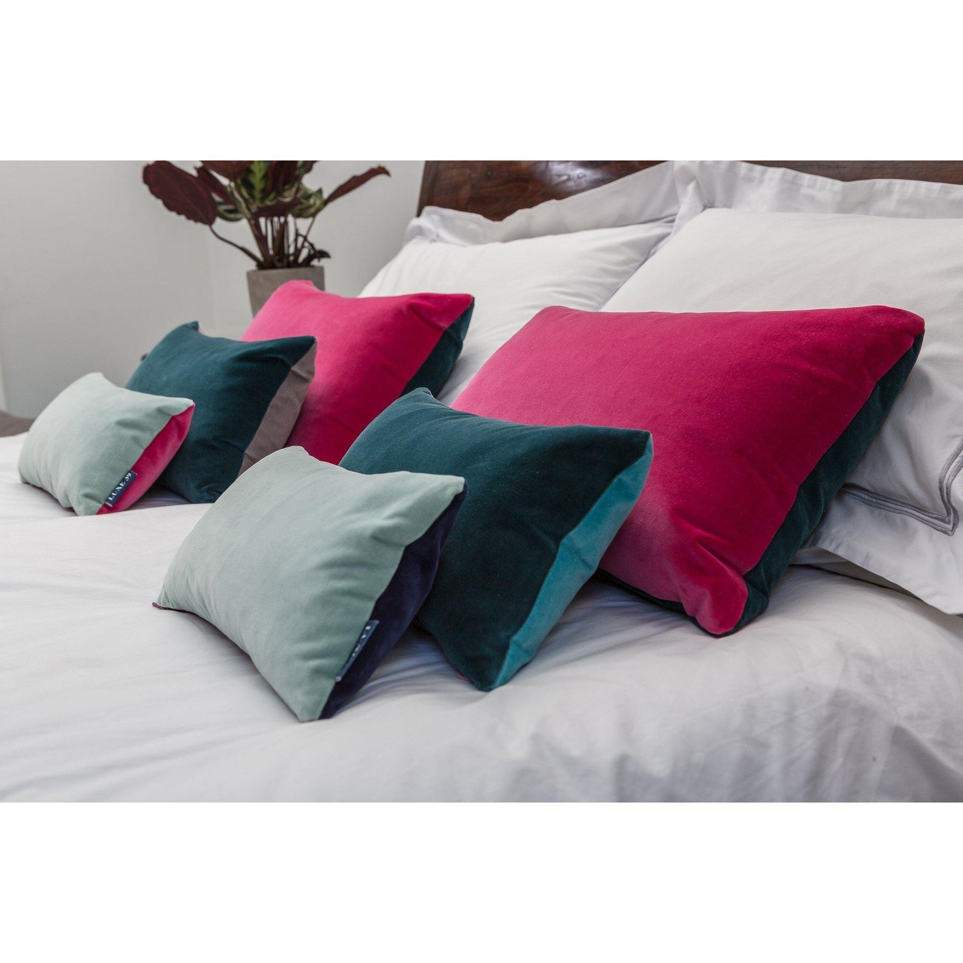 Teal Velvet Cushion with Turquoise Luxe 39