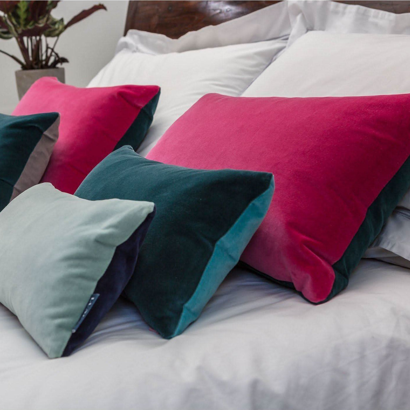 Teal Velvet Cushion with Turquoise Luxe 39