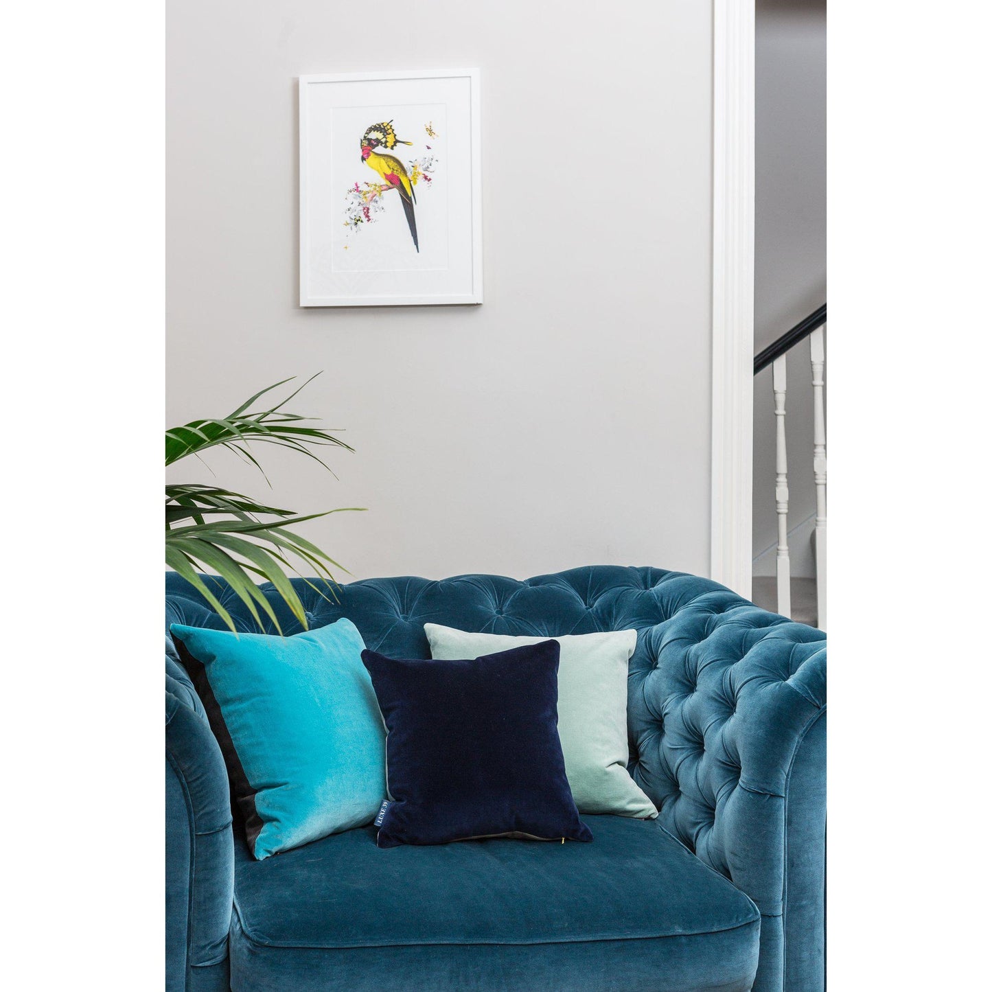 navy cushion covers with turquoise and duck egg on teal velvet sofa