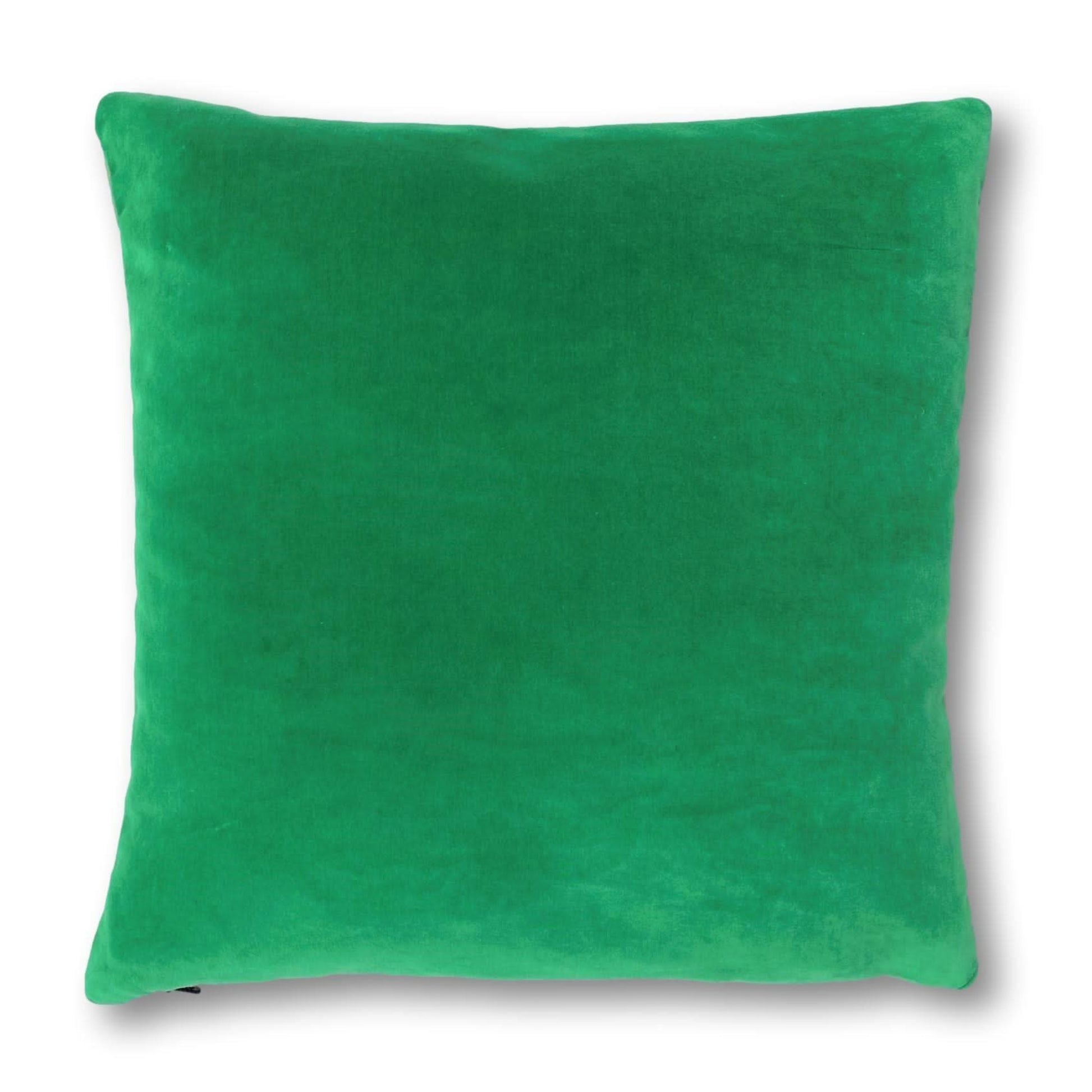 green velvet cushions with silver grey velvet reverse