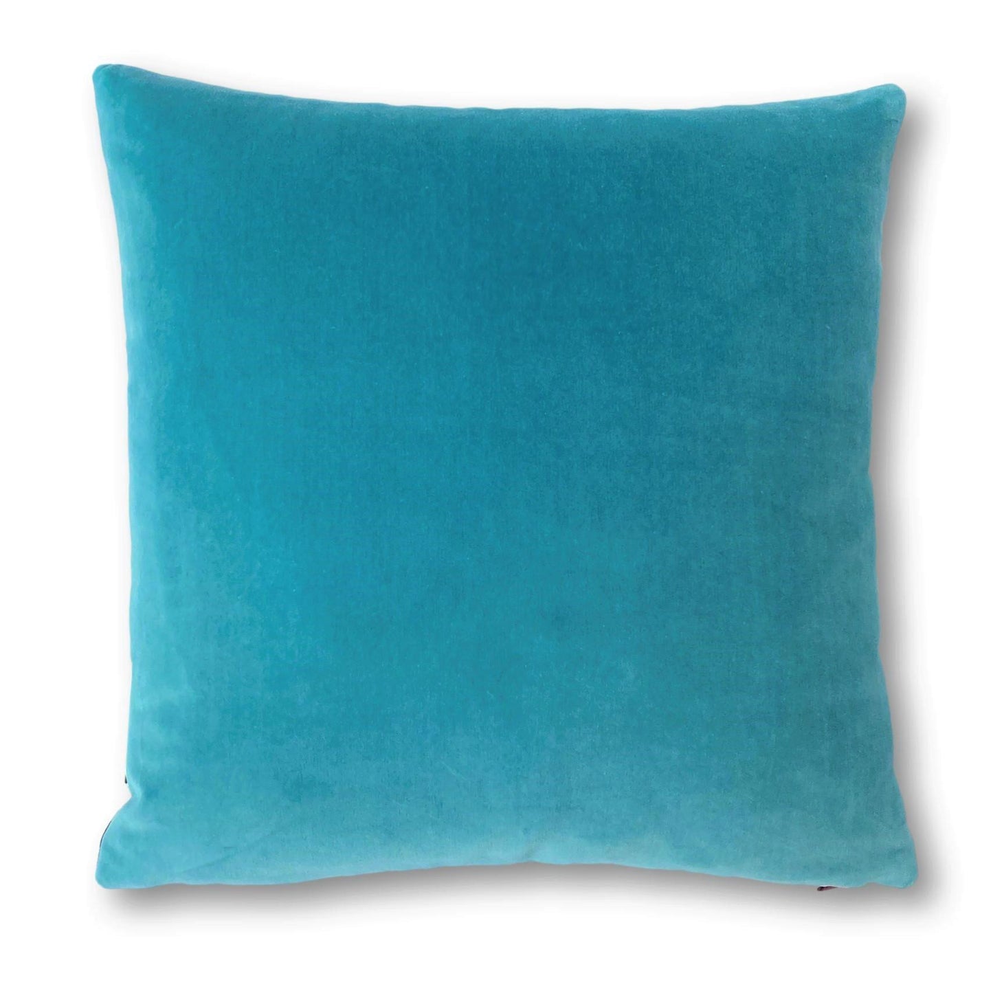 turquoise velvet cushion